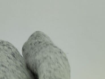 tom tailor spódnice: InWear, Spódnica damska, rozmiar S — 6