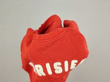 czerwona bluza: Whistles, Bluza damska
, rozmiar S — 7