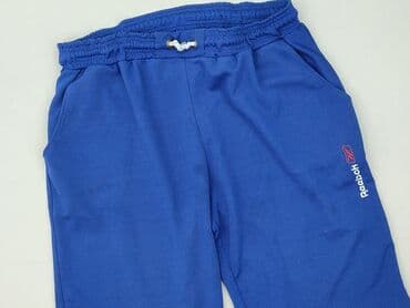 spodnie z siateczką: Reebok, Shorts for men, size 2XL — 1