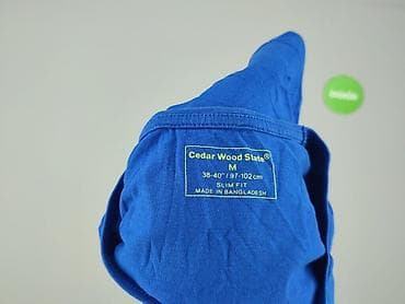 cider koszula: Cedar Wood State, T-shirt damski, rozmiar M — 5