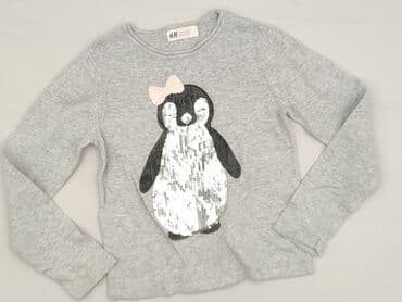 Sweatshirt, H&M, 5-6 years, 110-116 cm, condition - Very good
