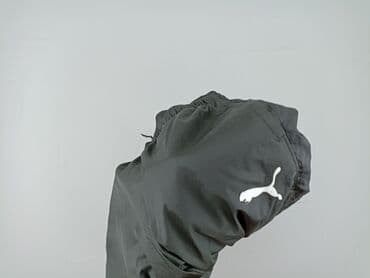 koszulki latynka allegro: Tracksuit bottoms for men, M (EU 38), Puma, condition - Perfect — 5