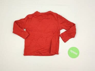 koszulka wilk i zając: Blouse, H&M, 5-6 years, 110-116 cm, condition - Very good — 3
