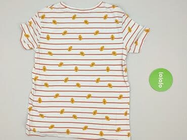 dsquared2 t shirty: PULL&BEAR, Women`s T-shirt, XS at lalafo.pl — 3 dsquared2 t shirty: PULL&BEAR, Women`s T-shirt, XS — 3