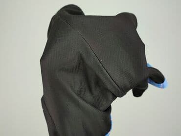 koszule bolf: Pit Bull West Coast, T-shirt sportowy dla mężczyzn, rozmiar M — 6