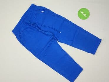 hampton republic bluza: Spodnie dresowe damskie, rozmiar L — 2