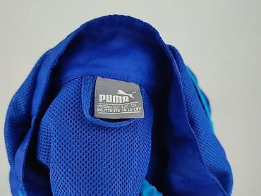 sinsay koszulka basic: Puma, Męska wiatrówka, rozmiar 2XL — 5