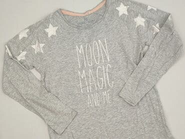 lidl sweterki: Sweatshirt, Lincoln & Sharks, 14 years, 158-164 cm, condition - Very good — 1