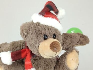 bielizna termoaktywna lidl crivit: Mascot Teddy bear, condition - Perfect — 4