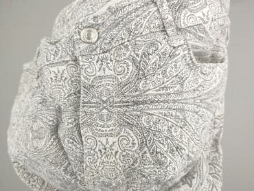 dobermans aggressive spodnie: Zara, Spodnie materiałowe damskie, rozmiar L — 7