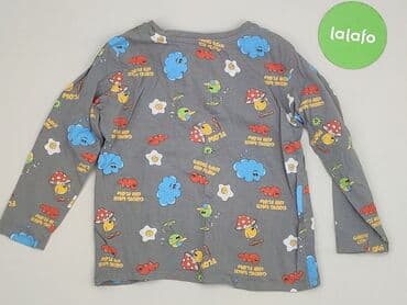 koszulka z wilkiem dziecięca: Blouse, Sinsay, 3-4 years, 98-104 cm, condition - Very good — 3