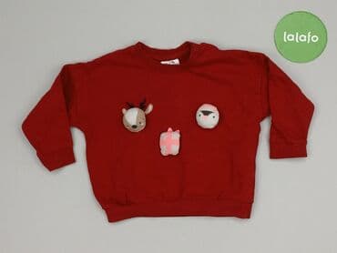 f and f sweatshirt: Sweatshirt, So cute, 9-12 months, condition - Good — 2