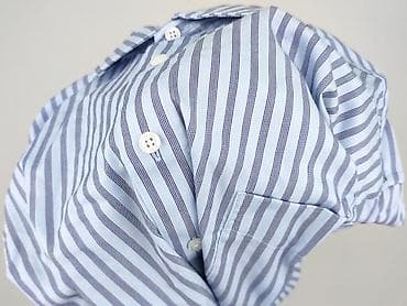 dresy crivit: Walbusch, Koszulа dla mężczyzn, rozmiar XL — 5