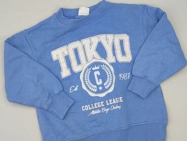 Sweatshirt, Zara, 7 years, 116-122 cm, condition - Very good