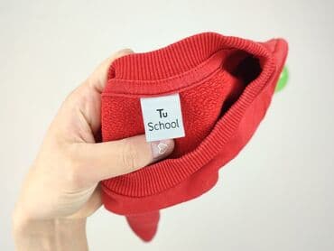 sukienki z weluru i aksamitu allegro: Sweatshirt, Tu, 2-3 years, 92-98 cm, condition - Perfect — 4