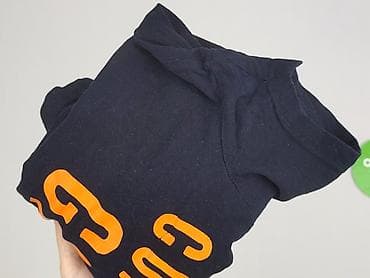 t shirty eagle: Hollister, T-shirt damski, rozmiar S — 6