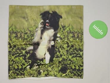 Pillowcases: PL - Pillowcase, 40 x 40, color - Green, condition - Very good — 2