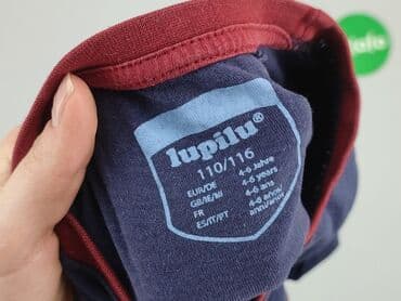 koszulka koty: Blouse, Lupilu, 5-6 years, 110-116 cm, condition - Good — 4