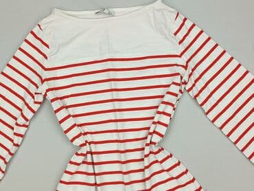 koszula wiya w paski: Hampton Republic, Sukienka damska, rozmiar S — 1