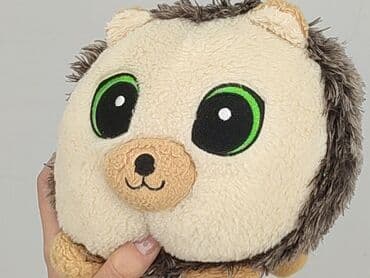 h: Mascot condition - Perfect — 4