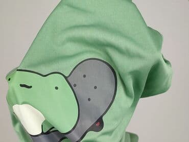 t shirty kermit: T-shirt damski, rozmiar M — 7