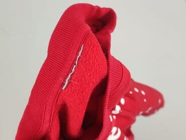 dsquared2 kurtka zimowa: Bluza damska
, M — 4