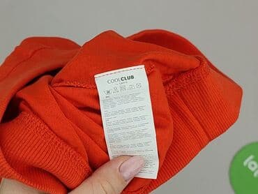 napapijri koszula: Sweatshirt, Cool Club, 3-4 years, 98-104 cm, condition - Perfect — 4