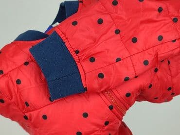 kurtki na narty: Kurtka przejściowa, Lupilu, 5-6 lat, 110-116 cm, stan - Bardzo dobry — 6