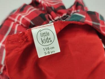 sukienka z c a: Sukienka, Little kids, 5-6 lat, 110-116 cm, stan - Bardzo dobry — 4