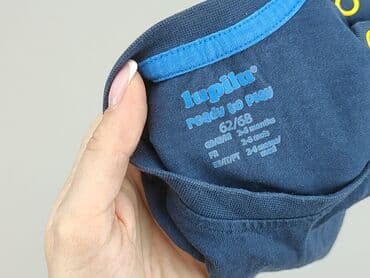 lidl tshirt: Koszulka, Lupilu, 3-6 miesięcy, stan - Idealny — 5