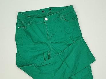 dobermans aggressive spodnie: Greenpoint, Spodnie materiałowe damskie, rozmiar M — 1