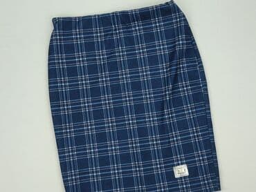 niebieska spódnice plisowane: Spódnica damska, XL — 1