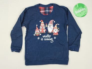 allegro sweterki azurowe: Sweatshirt, 3-4 years, 98-104 cm, condition - Good — 2