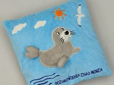 Poduszka 29 x 29, kolor - Błękitny, stan - Bardzo dobry