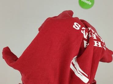 podkoszulki z fajnymi napisami: Hanes, Футболка для чоловіків, розмір L — 6