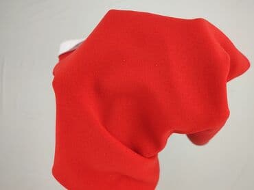 sukienki z kolnierzem: Women`s dress, size S — 6