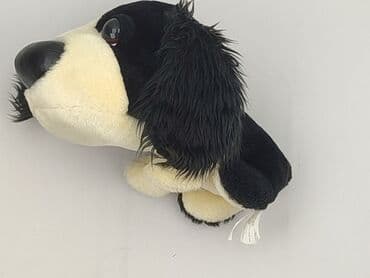 hello kitty piżama primark: Mascot Dog, condition - Very good — 1