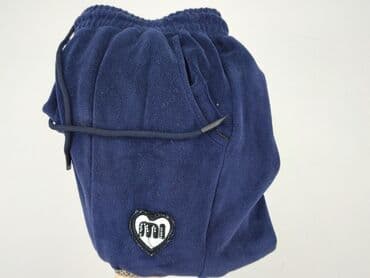 sweter allegro: Velour, Spodnie dresowe damskie, 2XL — 5