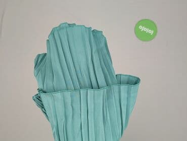 spódnice plisowane srebrne: Women`s skirt, size S — 5