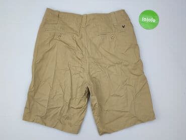 rajstopy i szorty: Cedar Wood State, Szorty dla mężczyzn, L — 3