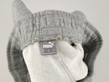 kapcie miu miu: Puma, Spodnie dresowe dla mężczyzn, M — 4