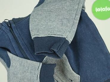 tchibo kombinezon softshell: Sweatshirt, Tom Tailor, 6-9 months, condition - Very good — 5