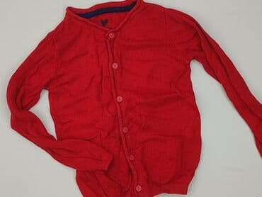 Sweatshirt, Lupilu, 5-6 years, 110-116 cm, condition - Very good