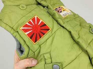 koszula dsquared2: Vest, 3-6 months, condition - Very good — 6