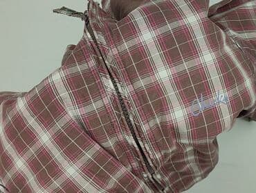 Outerwear: Cropp, Women`s bomber jacket, size L (EU 40) — 6