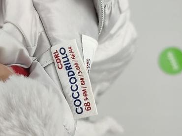 kazar kurtka: Kurtka, Coccodrillo, 3-6 miesięcy, stan - Bardzo dobry — 4