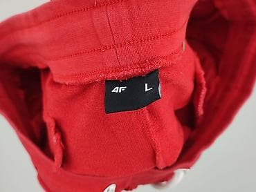 big star dresy: 4F, Szorty damskie, rozmiar L — 4