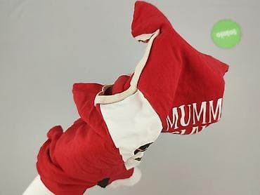 t shirty hooligans: Футболка жіноча, розмір 2XL — 4