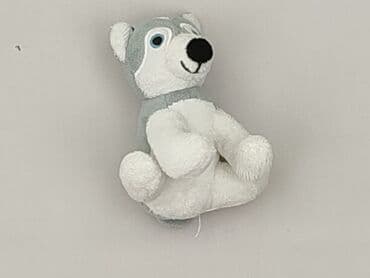koszulka z labradorem: Mascot Dog, condition - Perfect — 2