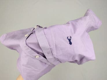 bytom biala koszula: Next, Women`s shirt, size S (EU 36) — 7